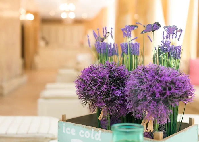 Dawn Park Complex 3*